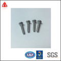 Custom torx countersunk pan washer screw